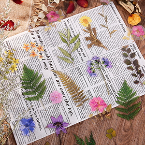 various special shaped botanical stickers