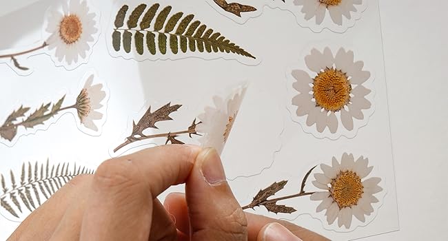 knaid pressed flower floral stickers 002